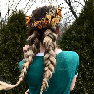 traditional dutch braid